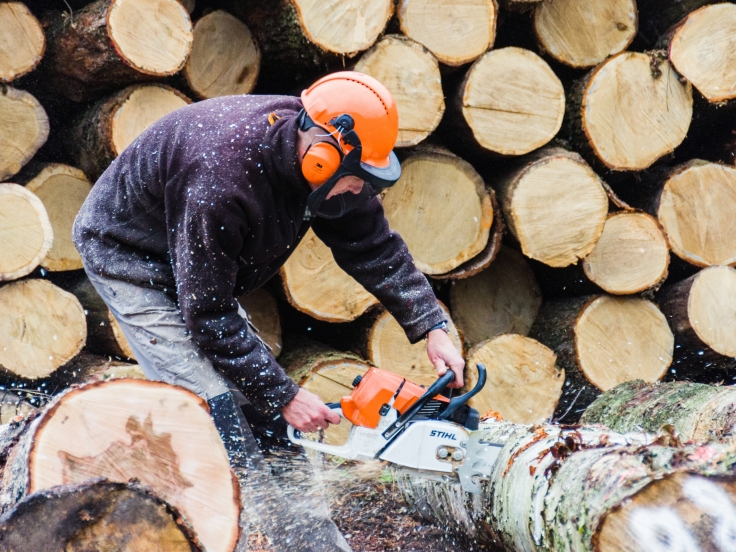 Office Economique Wallon du bois