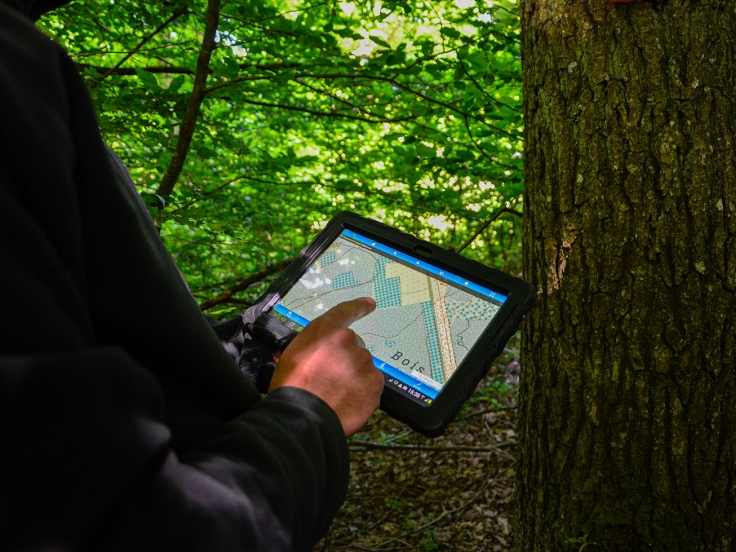 Office Economique Wallon du bois - Outils en ligne