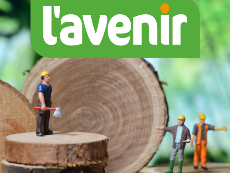 Article L'avenir Forêts mélangées - avril 2025