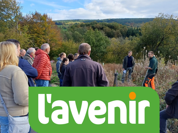 Activité du Week-End du Bois 2025_CAPFP_Article L'avenir