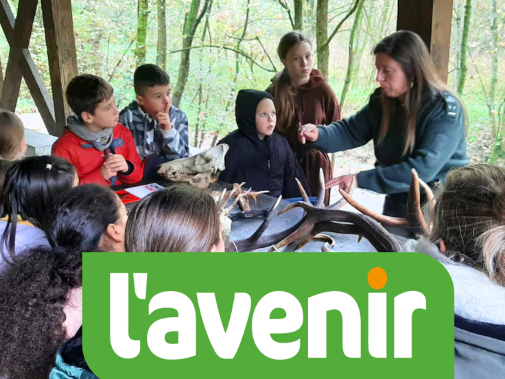 Les écoliers s'immergent dans la forêt_L'Avenir