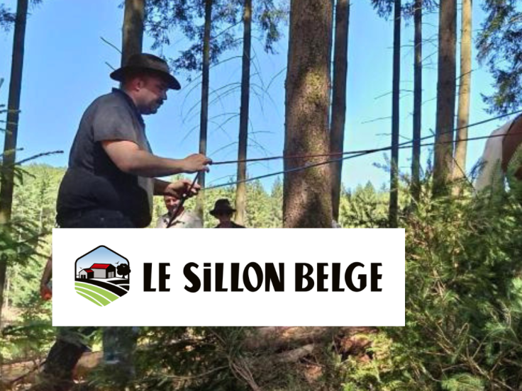 Article presse Le Sillon Belge - août 2026