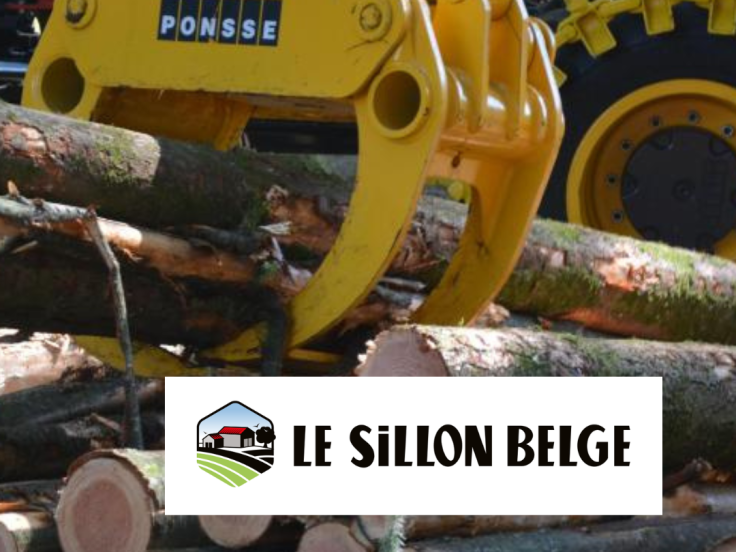 PanoraBois - Le Sillon Belge