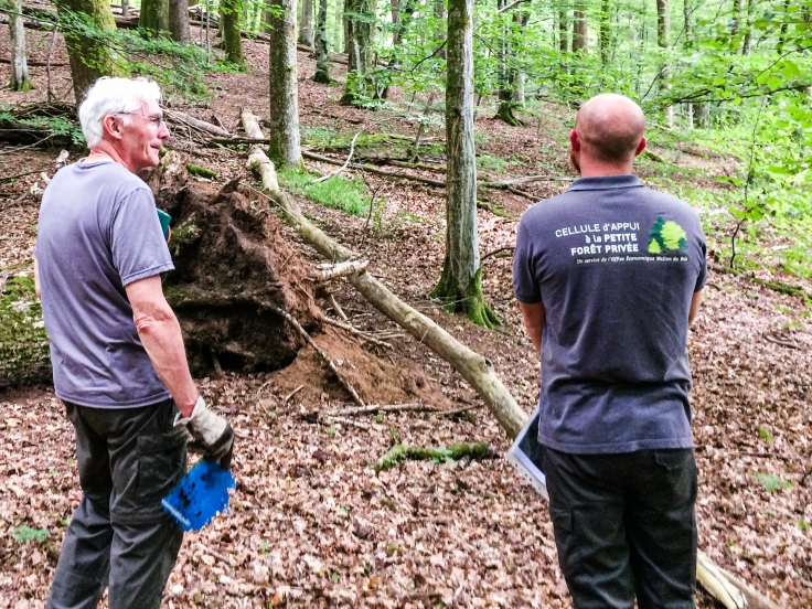 Cellule d'appui à la petite forêt privée