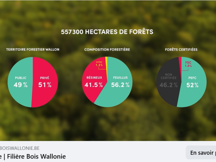 La filière bois en vidéo