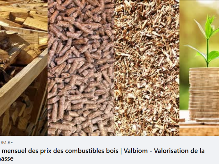 Le prix des combustibles - novembre 2025